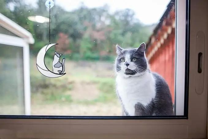 Gray and White Cat Memorial Gifts Loss of Cat British Shorthair Stained Glass Cat Suncatcher Cat Died Sympathy Gifts for Cat Lovers Cat Loss Sympathy Gift by GreenHaven Gardens