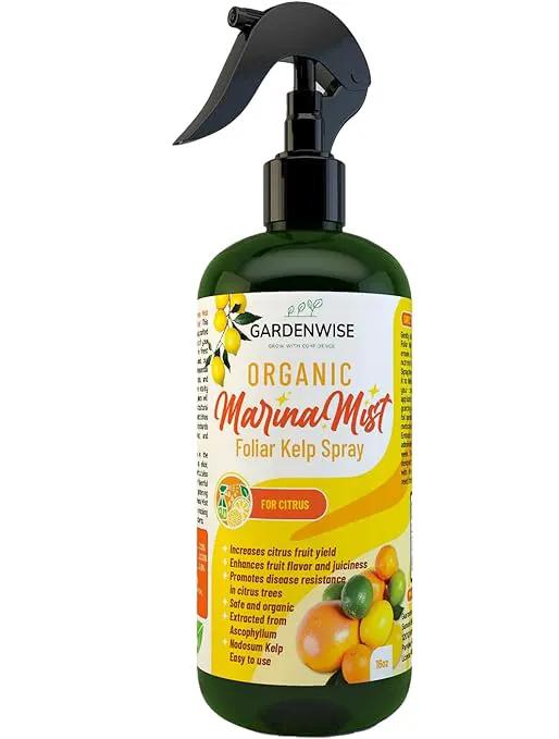 Organic Marina Mist Foliar Kelp Spray for All Citrus and Fruiting Trees | Micro Nutrients for Vital Health | Gentle Formula | Liquid Plant Food | Quick Results (16 OZ) by GreenHaven Gardens