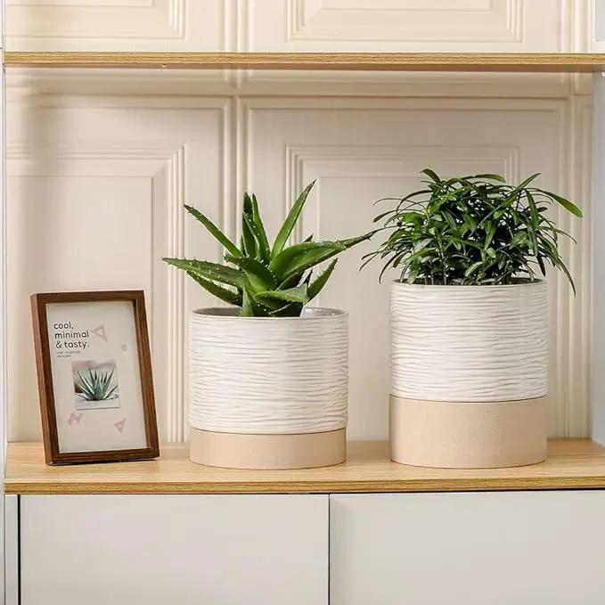 Nihow Ceramic Plant Pot: 6 Inch Planter with Drainage Hole & Saucer for Indoor & Outdoor Plants - Cylinder Round Flower Pot for Succulent/Herbs/Violets - Cream White & Brown by GreenHaven Gardens