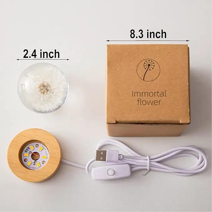 Flower Crystal Ball Night Light, 2.4 inch Glass Ball Night Lamp with Woodern Base (Yellow Daisy) by GreenHaven Gardens