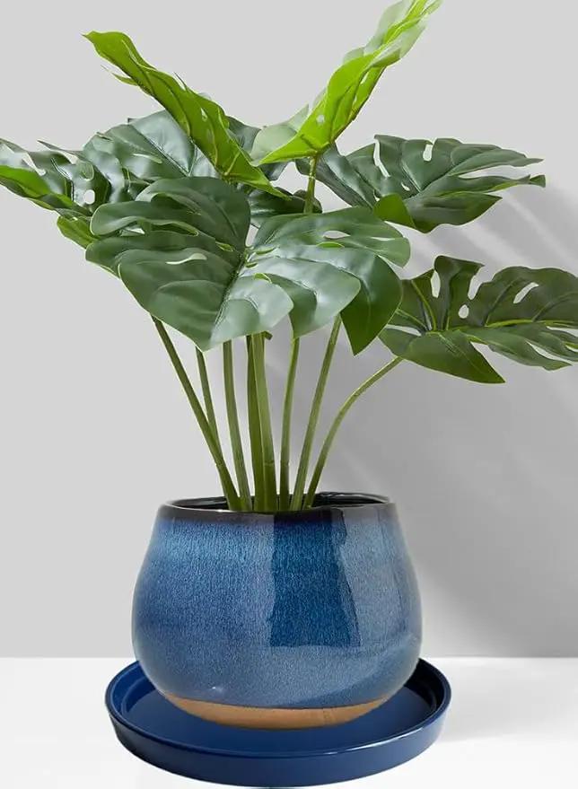 2 Pack Ceramic Plant Saucer Pot Tray 7 Inch, Planter Saucers 4 5 6 7 8 9 10 11 12 13 Inch for Indoors Outdoor, Durable Sturdy Flower Drainage drip Water Tray for Glazed Pots Base (7 Inch-Blue) by GreenHaven Gardens