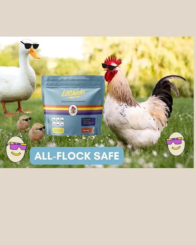 LitChicks’ Calcified Seaweed for Laying Chickens - Crushed Oyster Shell Alternative - Highly Digestible - Single Ingredient - Helps with Egg Laying & Flock Health. (5lbs) by GreenHaven Gardens