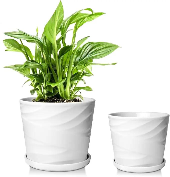 6.7 + 5.5 Inch Plant Pot, Ceramic Planter with Drainage and Saucer，Ceramic Pots for Plants, Indoor Plant pots，Succulent Orchid Flower Pot(Pure White) by GreenHaven Gardens