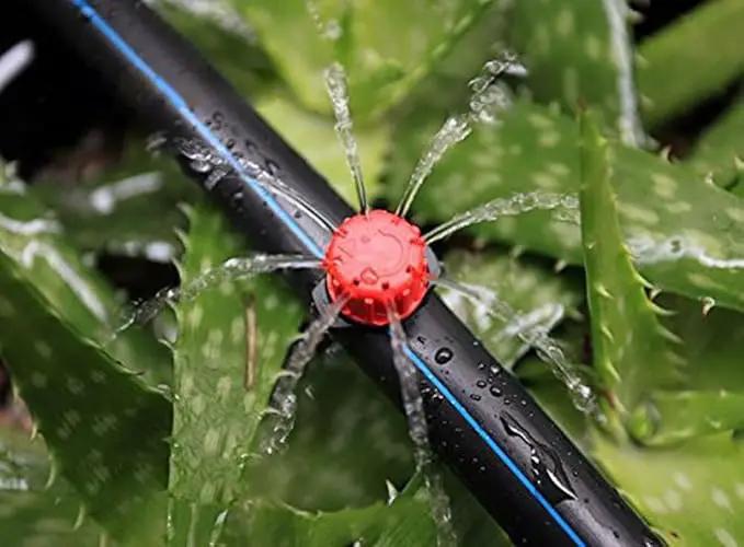 Penta Angel 50/100/200 Pcs Adjustable Irrigation Sprinklers Watering Drippers Sprinklers Emitter Drip System On 1/4" Barb (50) by GreenHaven Gardens