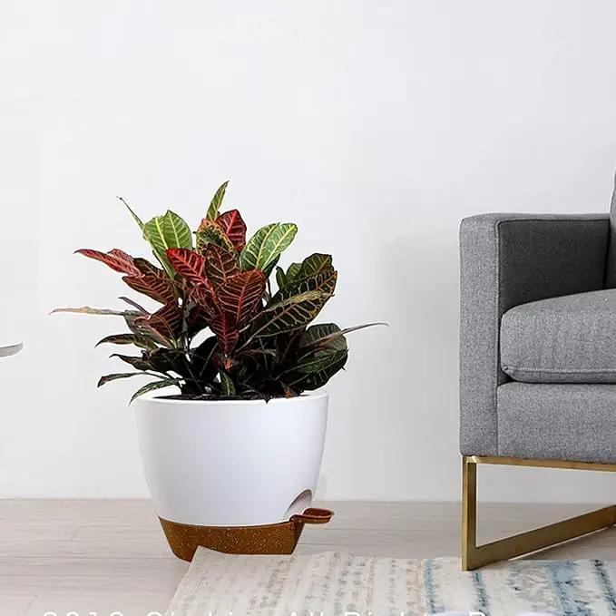 Large Self Watering Pots, 12/10/9 Plastic Planters with High Drainage Holes and Deep Reservoir for Indoor Outdoor Garden Plants and Flowers, White with Brown by GreenHaven Gardens