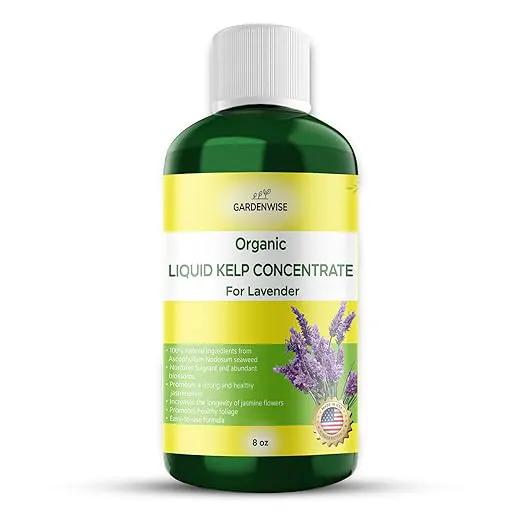 Organic Seaweed Fertilizer for Lavender - Rich Nutrients Kelp Fertilizer for Plants | Indoor & Outdoor Use - Liquid Plant Food (8 OZ) by GreenHaven Gardens
