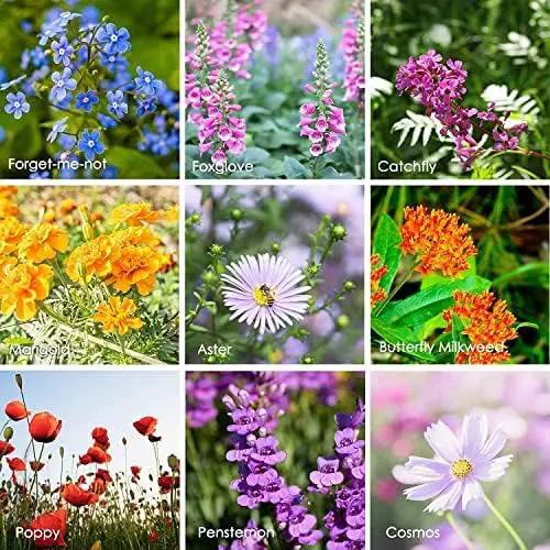 Pollinator Wildflower Seeds Bulk – 5 lb, 3.2 Million+ Seeds – 23 Variety Mix for Hummingbirds & Butterflies – Non-GMO Annual & Perennial Flower Seed for Planting by GreenHaven Gardens