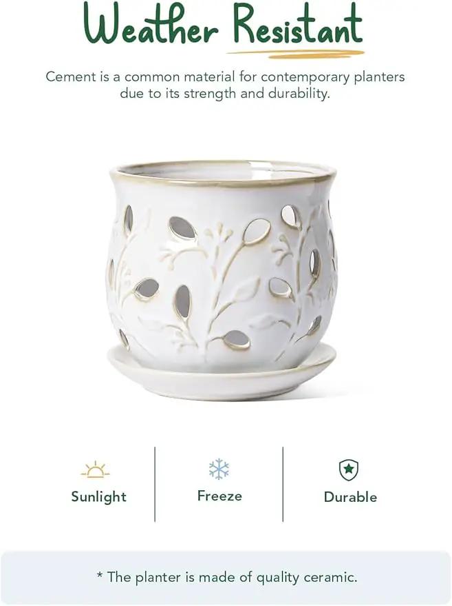 LE TAUCI Ceramic Orchid Pot, 6.5 Inch Orchid Pots with Holes, Orchid Planter for Repotting, Indoor Flower Plant Pot with Drainage and Saucer, Arctic White by GreenHaven Gardens