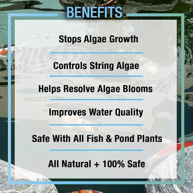MICROBE-LIFT ALGA2.5 Algaway 5.4 Algae Control Treatment for Ponds and Water Gardens, Safe for Koi Fish, Goldfish, Plants, and Decorations, 2.5 Gallons by GreenHaven Gardens