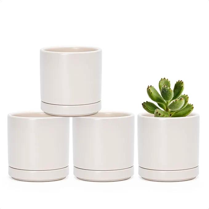 D'vine Dev Set of 4 Small Ceramic Plant Pots, 3.5 Inch Succulent Planter Pot for Plants with Drainage Hole and Saucer, Oatmeal, 94-X-A-8 by GreenHaven Gardens