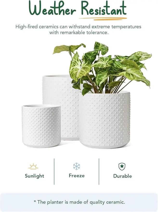 LE TAUCI Ceramic Plant Pots Indoor, 10+8+6 Inch Planters for Indoor Plants, Raised Dots Flower Pots with Drainage Hole and Plug, Cylinder Round Planters, Set of 3, White by GreenHaven Gardens