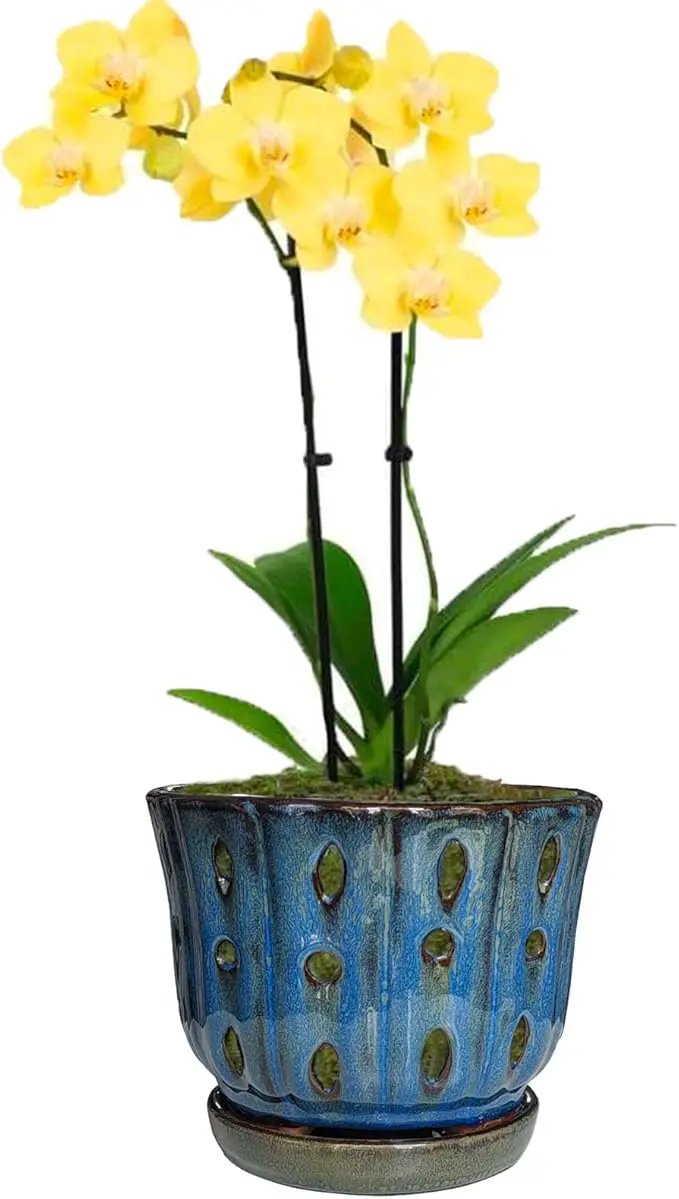 6 inch Round Ceramic Orchid Pot with Holes Orchid Planter (Dark Blue) by GreenHaven Gardens