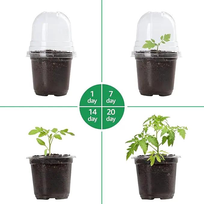 30 Packs 4 Inch Reinforced Clear Nursery Pots with Humidity Dome, Transparent Variety Pack Plastic Plant Pot Seedling Planter Seed Starter Flower by GreenHaven Gardens