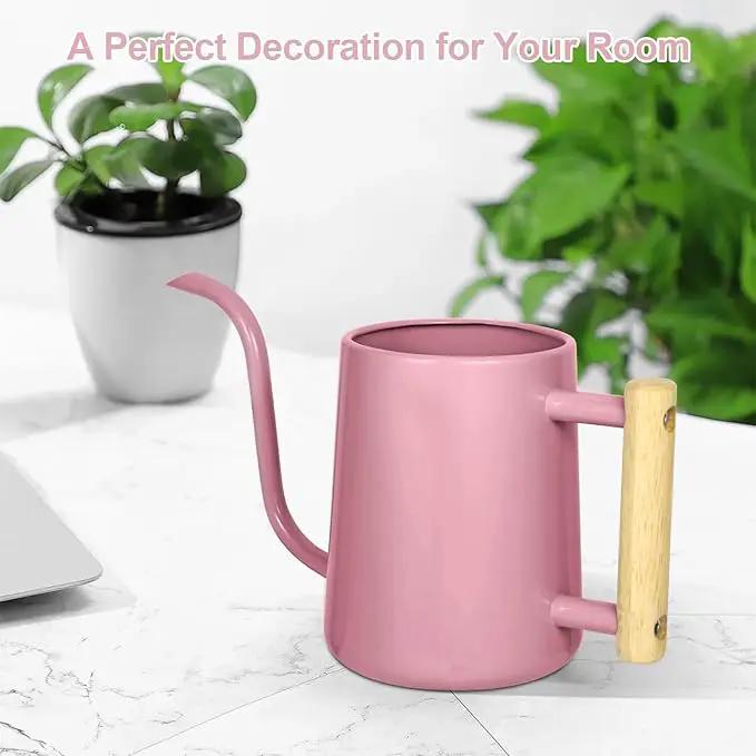 Watering Can Indoor Plants, 35 oz/1000 ml Metal Stainless Steel Watering Can Pot with Long Spout for Indoor House Plants Bonsai Outdoor Garden Flower Decorative (Pink) by GreenHaven Gardens