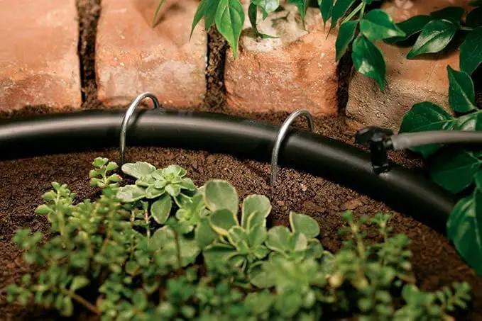 Orbit 61442 5 Pack (50 Total Stakes) Drip Irrigation Tubing Stakes - 1/2 Inch, 5/8 Inch Tube… by GreenHaven Gardens