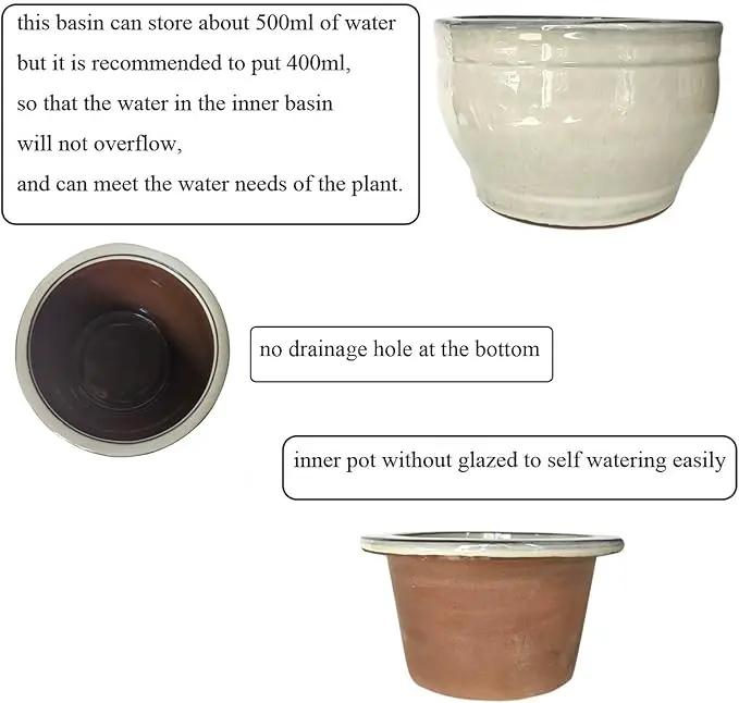 African Violet Pots Self Watering Round Ceramic Violet Pot (White, 6 inch) by GreenHaven Gardens