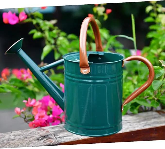 Steel Watering Can Sliver Galvanized Steel Watering Can with Copper Accents,Removable Rosette-Diffuser,One-Gallon Green by GreenHaven Gardens