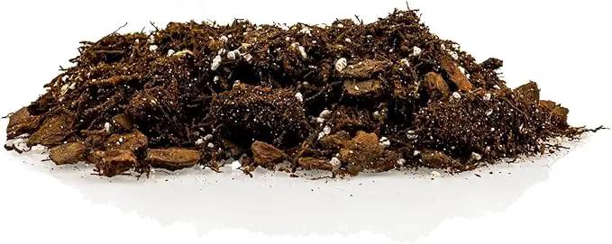 Premium Gardenera House Plant Potting Mix | Fern + New Zealand Bark + Perlite | Great for Pothos, Spider Plants, Montsera, Philodendron, English Ivy - 5 Quart Bag by GreenHaven Gardens