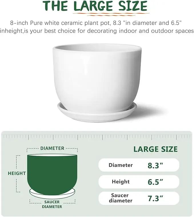 8 Inch Ceramic Planter, Plant Pots with Drainage Hole and Separable Saucer,Indoor-Outdoor Round Succulent Orchid Flower Pot,Indoor pots for Plants(Smooth White,Plant Pot only) by GreenHaven Gardens