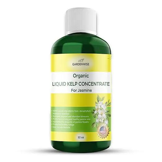 Organic Premium Kelp Seaweed Fertilizer for Jasmin - Liquid Fertilizer - Liquid Plant Food - Nutrient-Rich Soil Enhancer - Natural Plant Food for Jasmin (32 OZ) by GreenHaven Gardens