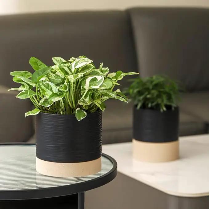 Nihow Ceramic Plant Pot: 6 Inch Planter with Drainage Hole & Saucer for Indoor & Outdoor Plants - Cylinder Round Flower Pot for Succulent/Herbs/Violets - Black & Brown by GreenHaven Gardens