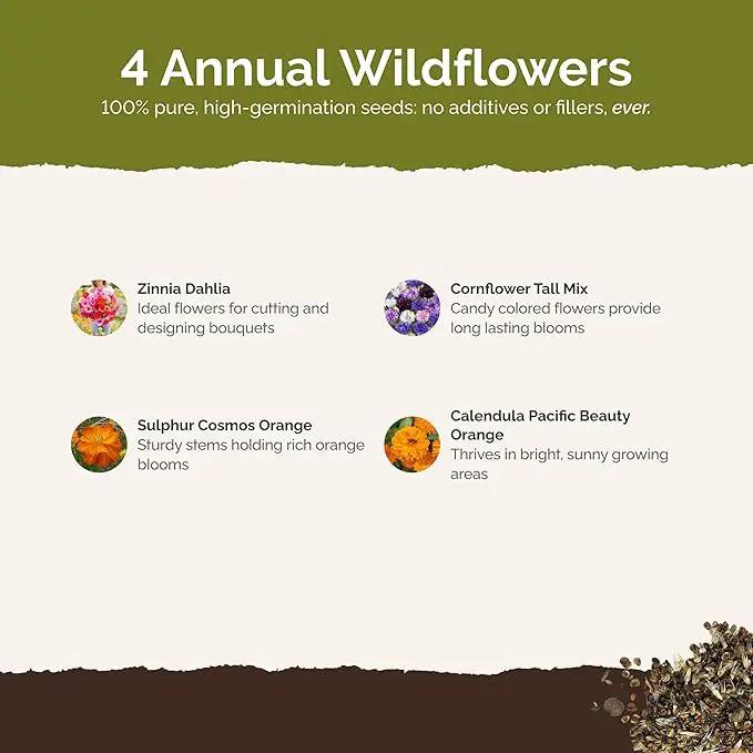 Eden Brothers Jellybean Flower Mixed Seeds for Planting, 1/4 lb, 120,000+ Seeds with Zinnia, Cornflower, Cosmos, Calendula, Attracts Pollinators, Plant in Spring or Fall, Zones 3, 4, 5, 6, 7, 8, 9, 10 by GreenHaven Gardens