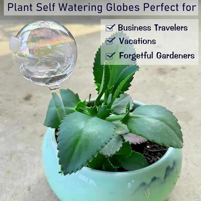 Clear Rainbow Glass Plant Automatic Watering Bulb, 4pcs Garden Flower Self Watering Planter Inserts, Automatic Plant Waterer System Set Self Watering Spikes to Support Plant Health by GreenHaven Gardens