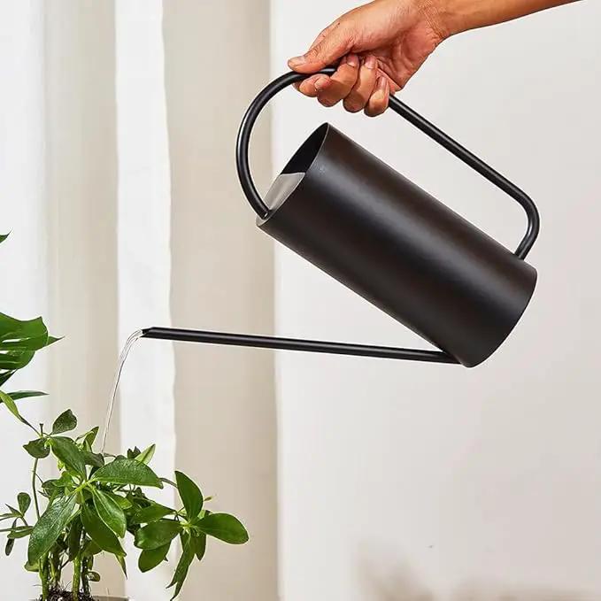 Watering Can for Indoor Plants, 50 oz/1.5L Stainless Steel Watering Can Pot with Long Spout, Garden Watering Cans with Comfortable Handle for Indoor House Plants Bonsai Flower Decorative by GreenHaven Gardens