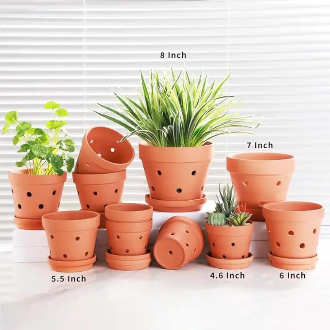 Fcacti 6 Inch Terracotta Orchid Pots with Drainage Holes and Saucers - 6 Pack Small Clay Orchid Planter Pots for Repotting, Plant Flower Pots for Orchid Indoor/Outdoor Promotes Air Circulation by GreenHaven Gardens