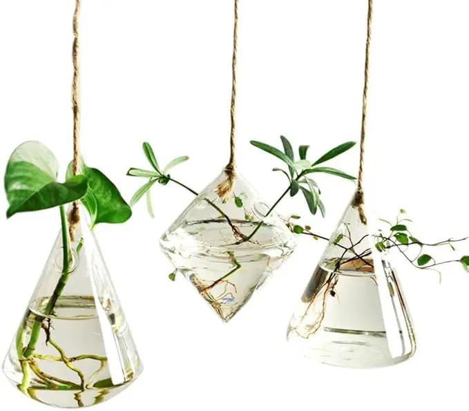Glass Hanging Planters Indoor Outdoor Plant Pots Water Plant Containers Flower Pots Glass Terrariums Wall Vases 3 Pieces by GreenHaven Gardens