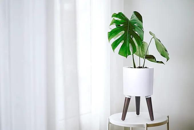 D'vine Dev 8 Inch Planter Pot with Stand, Mid-Century Tall Plant Pot with Legs for Indoor Plants, Small, White, 88-O-A-1 by GreenHaven Gardens