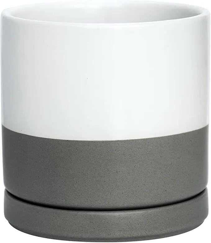 D'vine Dev 6 Inch Ceramic Planter Pot with Drainage Hole and Saucer, Indoor Cylinder Round Flower Pot, White/Speckled Grey, 94-O-C-6 by GreenHaven Gardens