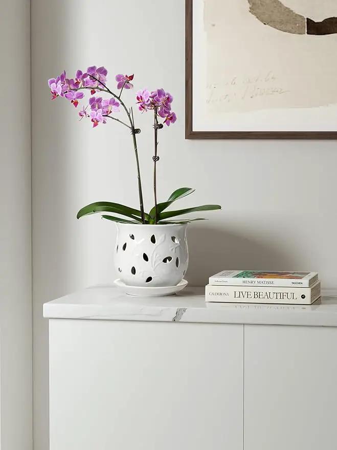 LE TAUCI Ceramic Orchid Pot, 6.5 Inch Orchid Pots with Holes, Orchid Planter for Repotting, Indoor Flower Plant Pot with Drainage and Saucer, White by GreenHaven Gardens