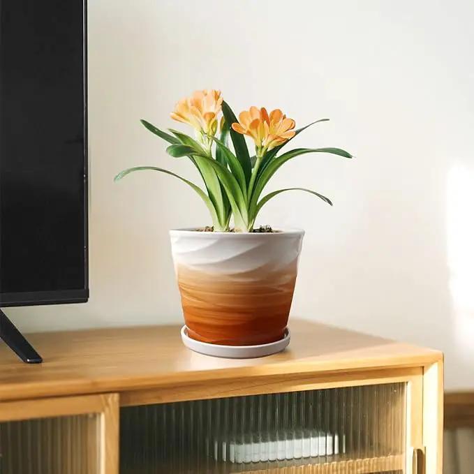 8 Inch Plant Pot, Ceramic Planter with Drainage and Saucer, Ceramic Pots for Plants, Indoor Plant pots, Flower pots，Modern Planter(Khaki + White) by GreenHaven Gardens