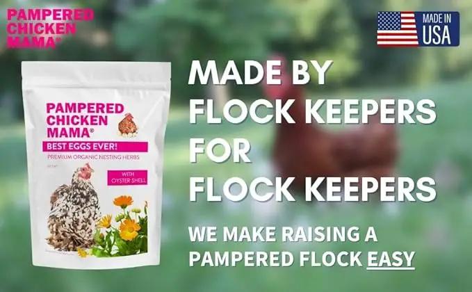 Pampered Chicken Mama Backyard Chicken Treats for Great Eggs - All-Natural Backyard Chicken Feed Supplies - Hen Treats for The Best Eggs Ever - High Calcium Supplement for Chickens (8 pounds) by GreenHaven Gardens