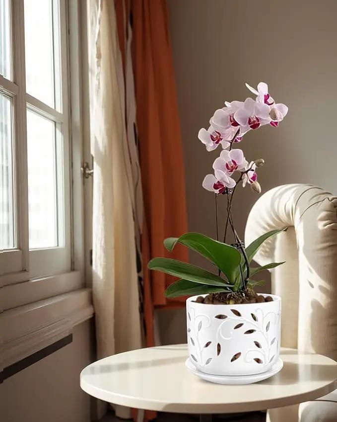 EFISPSS Orchid Pot with Holes, 5+6Inch Ceramic Plant Pots with Drainage Holes and Tray, Promoting Air Circulation and Drainage, Indoor/Outdoor White Flower Pots by GreenHaven Gardens