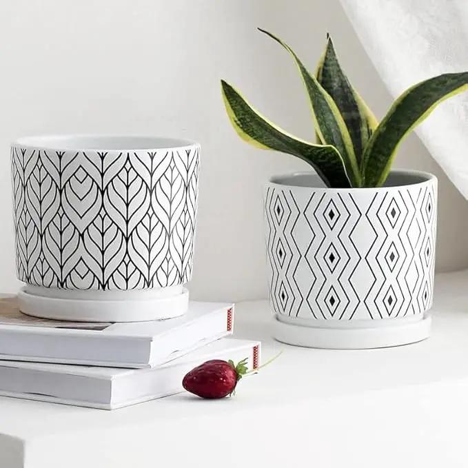 2 Pack Ceramic Plant Saucer Pot Tray 6 Inch, Planter Saucers 4 5 6 7 8 9 10 11 12 13 Inch for Indoors Outdoor, Durable Sturdy Flower Drainage drip Water Tray for Glazed Pots Base (6.4 Inch-White) by GreenHaven Gardens