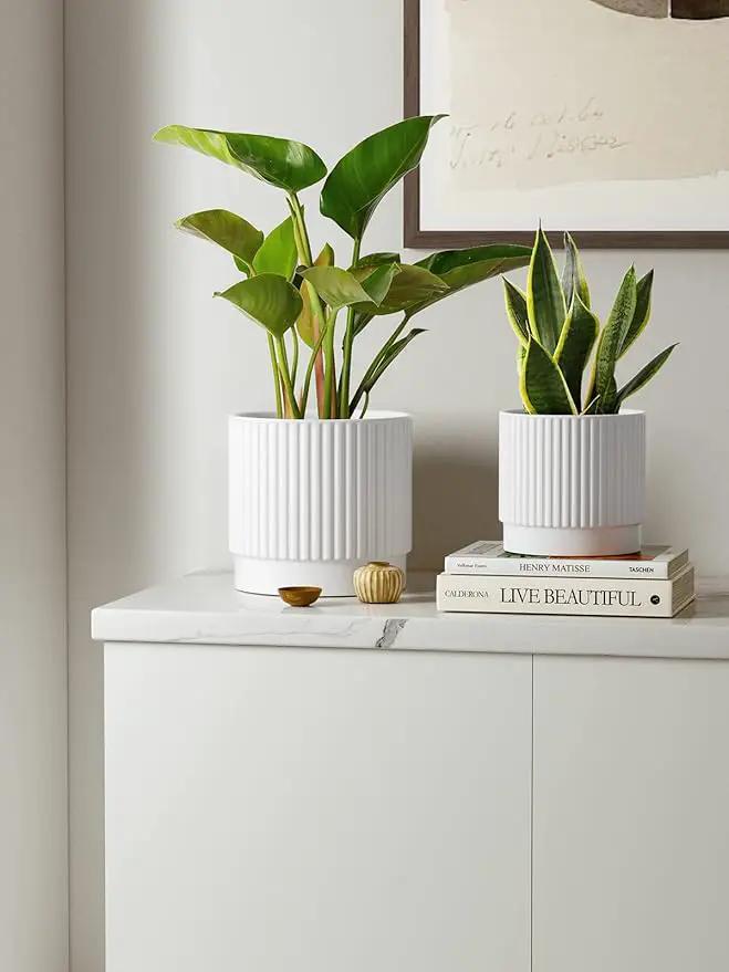 LE TAUCI Ceramic Pots for Plants, 8+6.7+5.5 Inch Plant Pots Indoor, Flower Pot with Drainage Holes, Medium Cylinder Planters for Indoor House Plants, Set of 3, White by GreenHaven Gardens