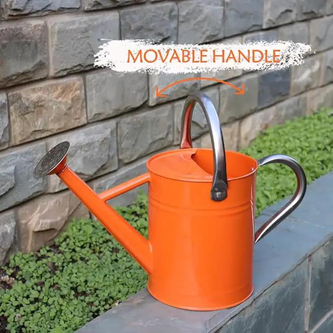 Metal Watering Can, One Gallon Watering Cans Stainless Steel for Outdoor Indoor Garden Plants Watering (Stainless Steel Handle Orange) by GreenHaven Gardens
