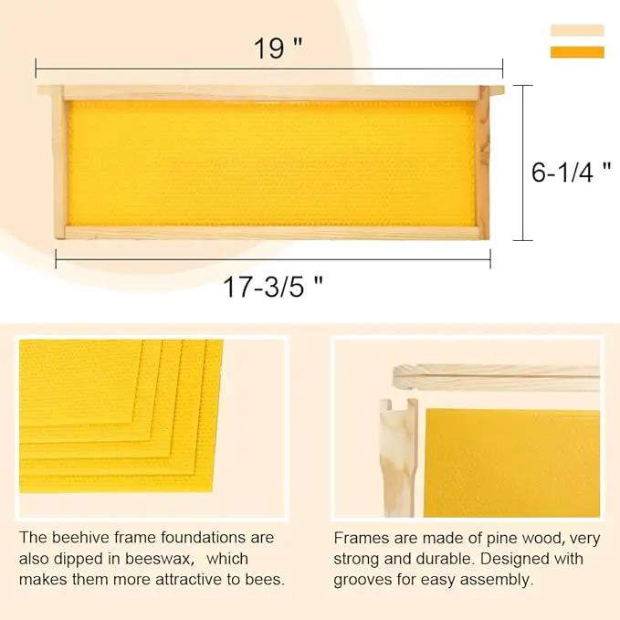 10 Frame Bee Hive Box, Langstroth Medium Super Bee Box Dipped in 100% Beeswax Include Beehive Frames and Waxed Foundation Sheets (Unassembled) by GreenHaven Gardens