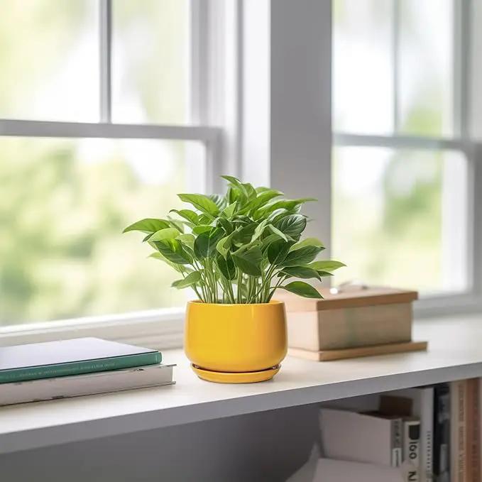 G EPGardening 4 Inch Ceramic Planter - Succulent Pots for Plants Indoor Outdoor, Small Plant Pots with Drainage Hole & Saucer, Round Planter, Modern Flower Pot, Home Decor, Plant Lover Gift, Yellow by GreenHaven Gardens