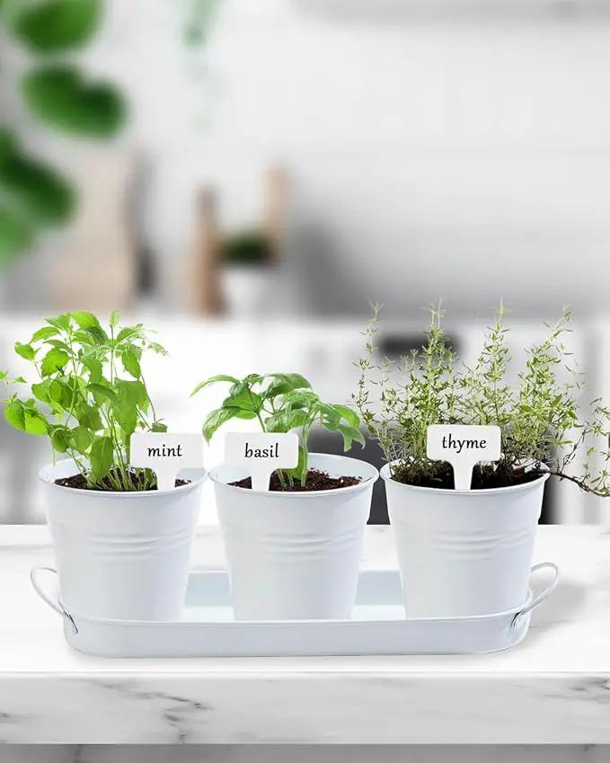 vensovo Indoor Herb Planter Set - Galvanized Windowsill Garden Pots with Tray & Drainage, Set of 3 Metal Window Planters for Kitchen & Outdoor Use, White by GreenHaven Gardens