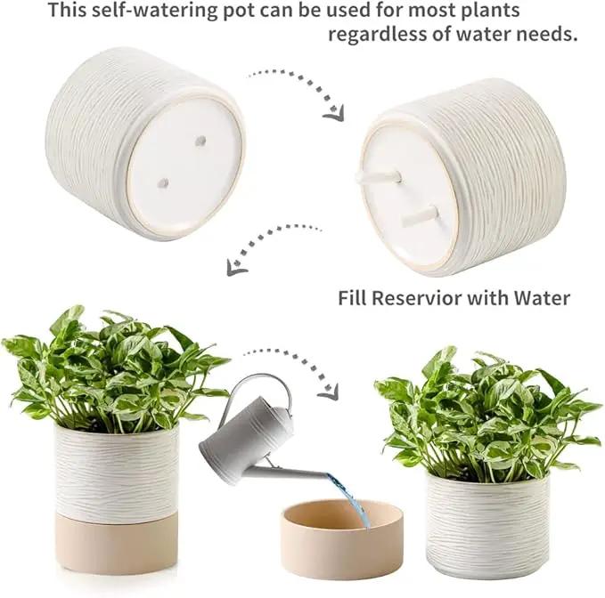 Nihow Self Watering Plant Pot: 6 Inch Ceramic Planter with Drainage Hole & Water Storage Plus for Indoor & Outdoor Plants - Cylinder Round Flower Pot for Succulent/Herbs/Violets - Cream White & Brown by GreenHaven Gardens