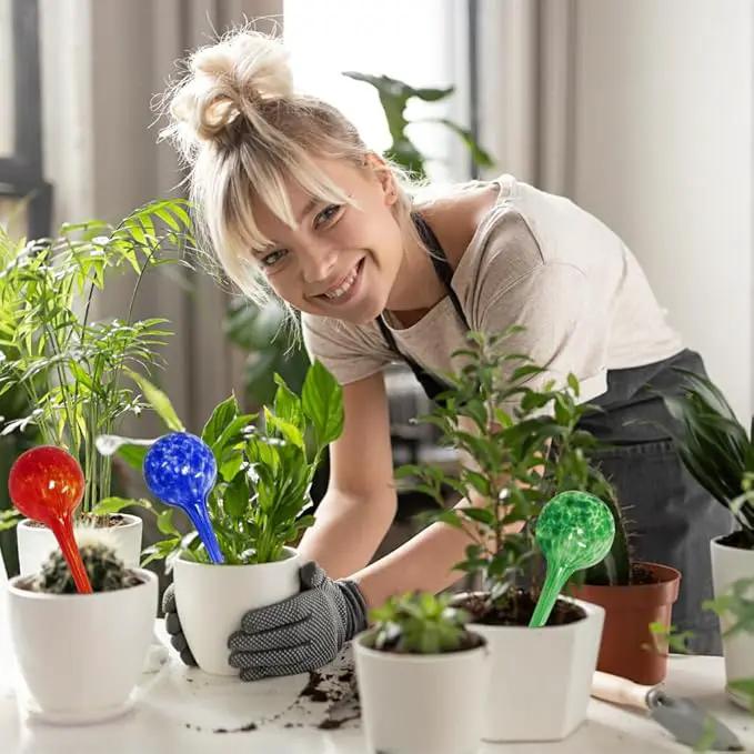 Evelots Plant Watering Globes (6 Pack) - Hand Blown Glass - Automatic Water Irrigation System - Indoor/Outdoor - Leave Your Home Worry Free by GreenHaven Gardens