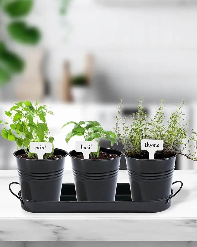 vensovo Indoor Herb Planter Set - Galvanized Windowsill Garden Pots with Tray & Drainage, Set of 3 Metal Window Planters for Kitchen & Outdoor Use, Black by GreenHaven Gardens