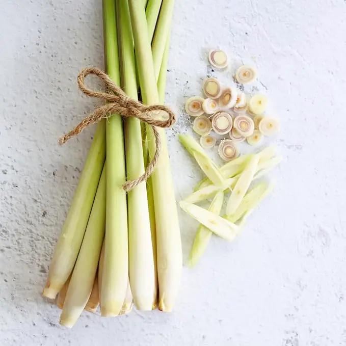 Lemongrass - Cymbopogon citratus. Live Plant. Fragrant, Fresh, Edible. Easy Grow. Indoor/Outdoor. (4 Lemongrass in Cup) by GreenHaven Gardens