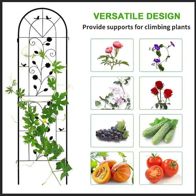 LZRS 4 Pack Rustic Iron Arch Decoration Garden Trellis with Black Metal Coating – Perfect for Supporting Climbing Plants Outdoor, Roses, Vines, Flowers, and Vegetables. by GreenHaven Gardens