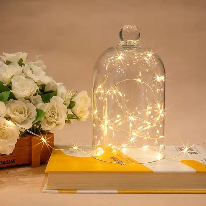 Fairy Lights Plug in,164FT 1000 LEDs Waterproof String Lights,Twinkle Light with Remote for Outdoor Indoor Christmas Wedding Birthday Garden Party Decorations,2 Inch Space,Warm White by GreenHaven Gardens