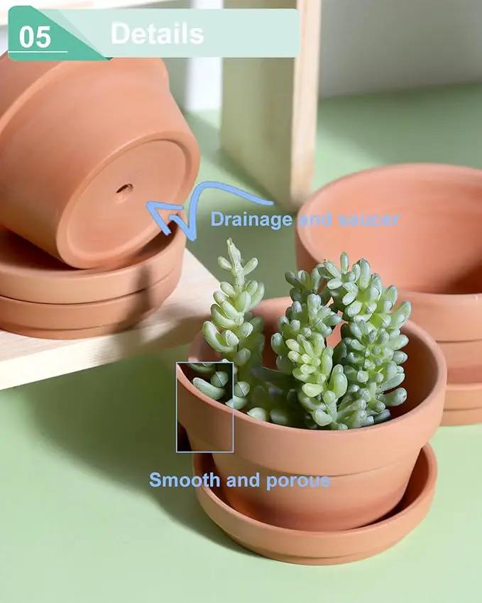 vensovo 3.7 Inch Terracotta Shallow Succulent Pots - 6 Pack Terra Cotta Clay Pot with Saucer, Cacuts Indoor and Outdoor Planters with Drainage Hole by GreenHaven Gardens