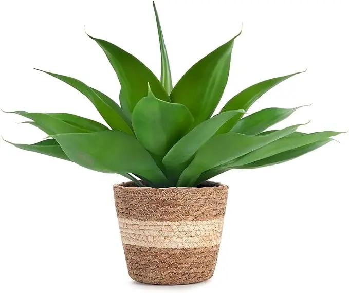 Velener Fake Agave with Rattan Pot, Artificial Plant Outdoor Agave - Fake Sucuulents Plants for Indoor and Outdoor Decor(16 Inch) by GreenHaven Gardens